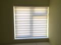 vision blinds16