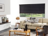 vision blinds8