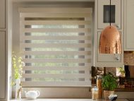 vision blinds9